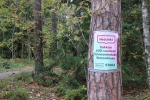 Stansvikin metsää ei saa yhtään enempää hävittää